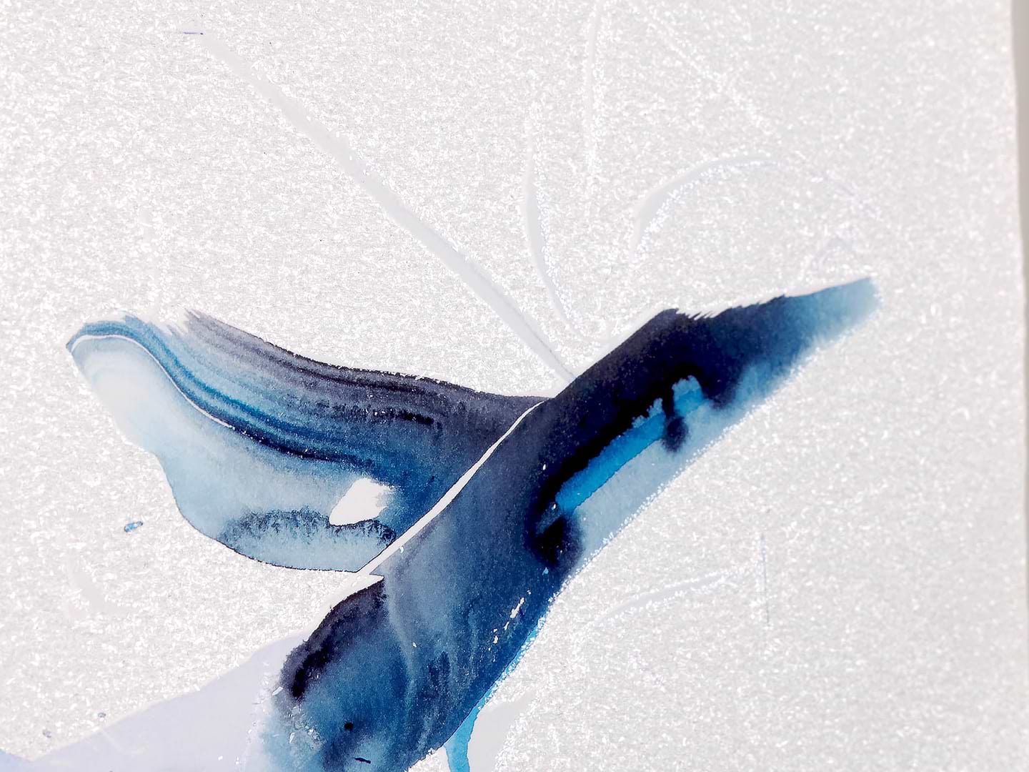 Humpback Whale Deluxe