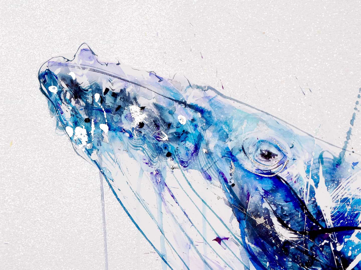 Humpback Whale Deluxe