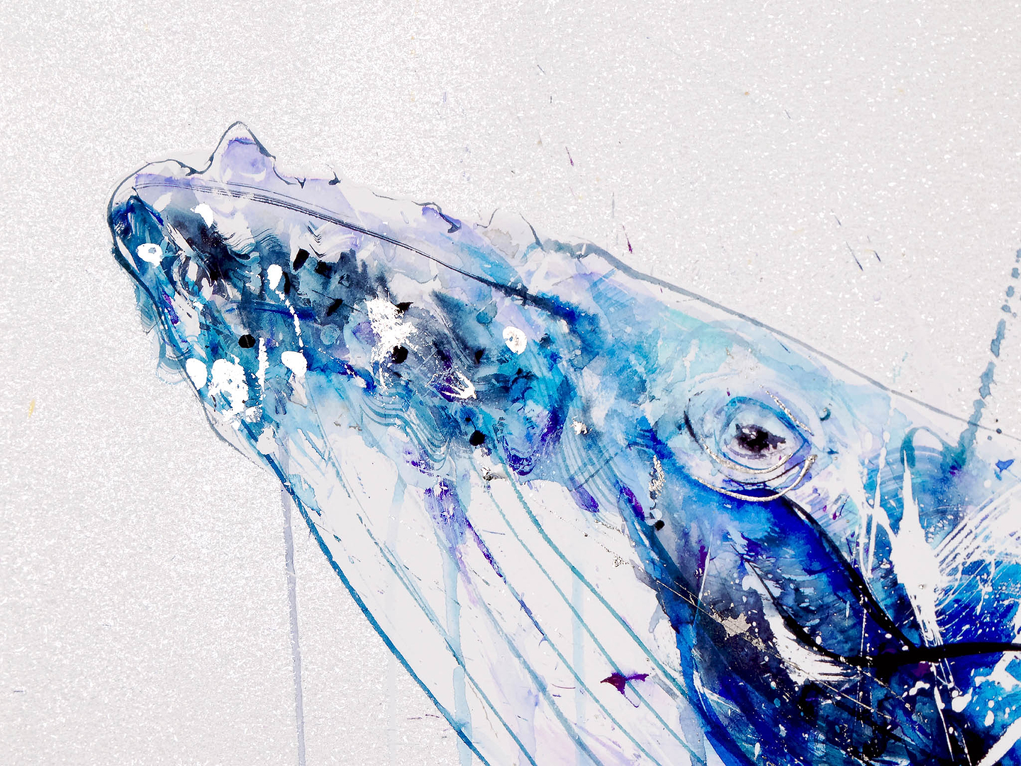Humpback Whale Deluxe
