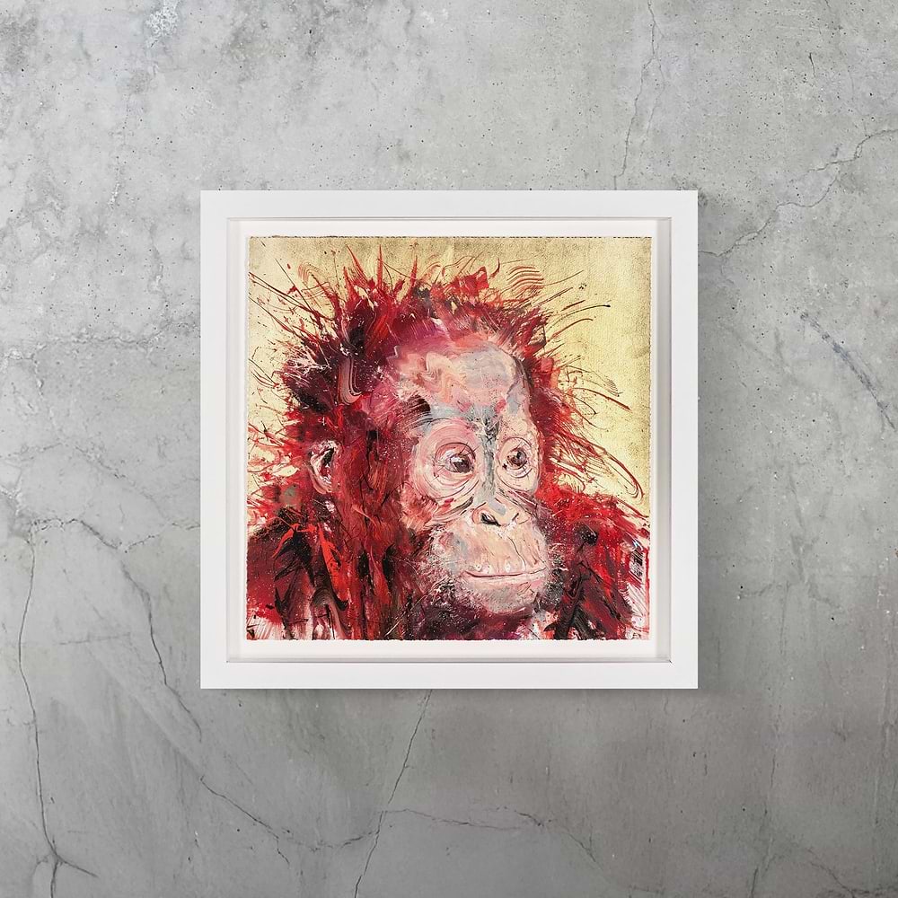 Baby Orangutan