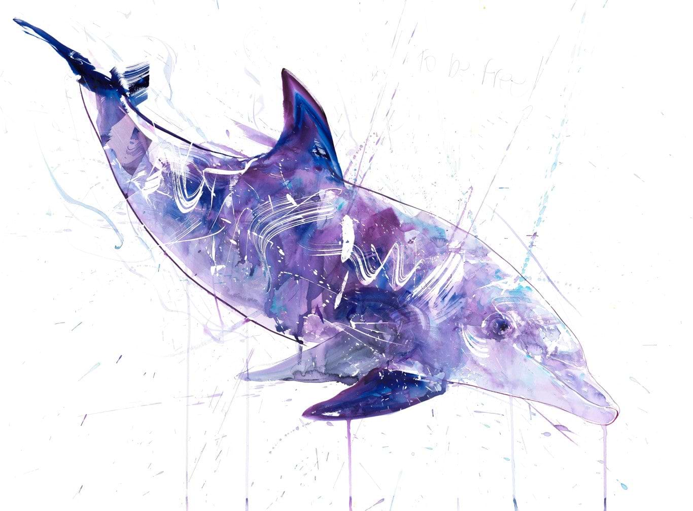 Dolphin I