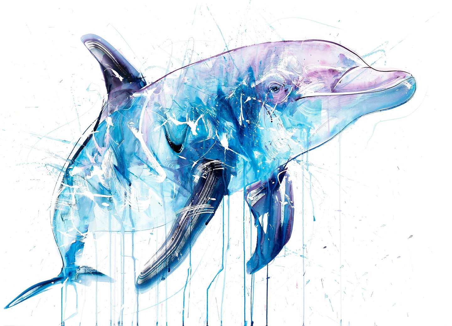 Dolphin III