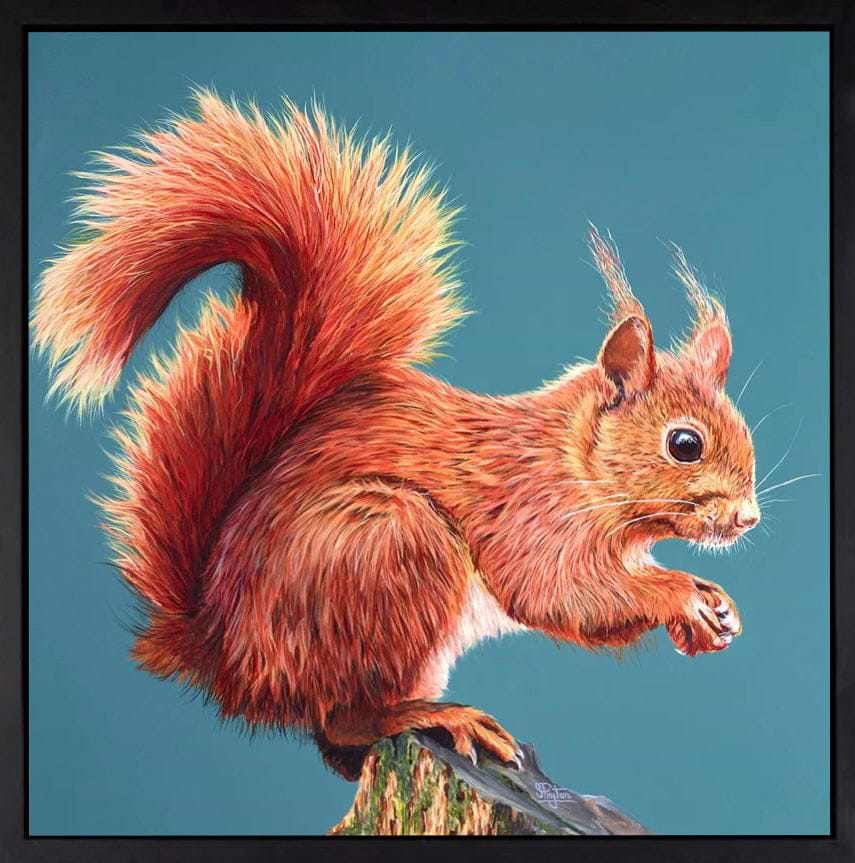 Rufus (Red Squirrel)