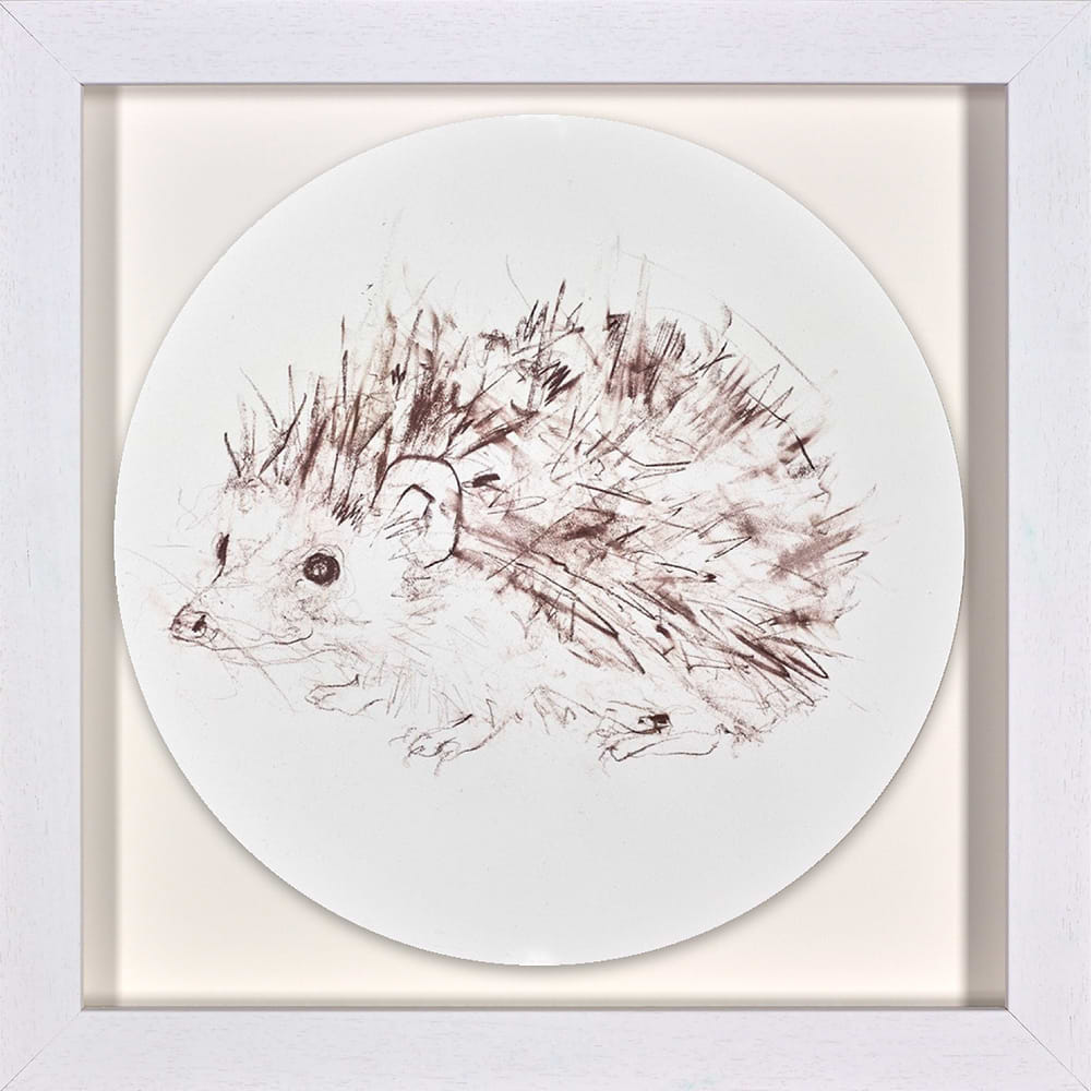 Hedgehog Study II