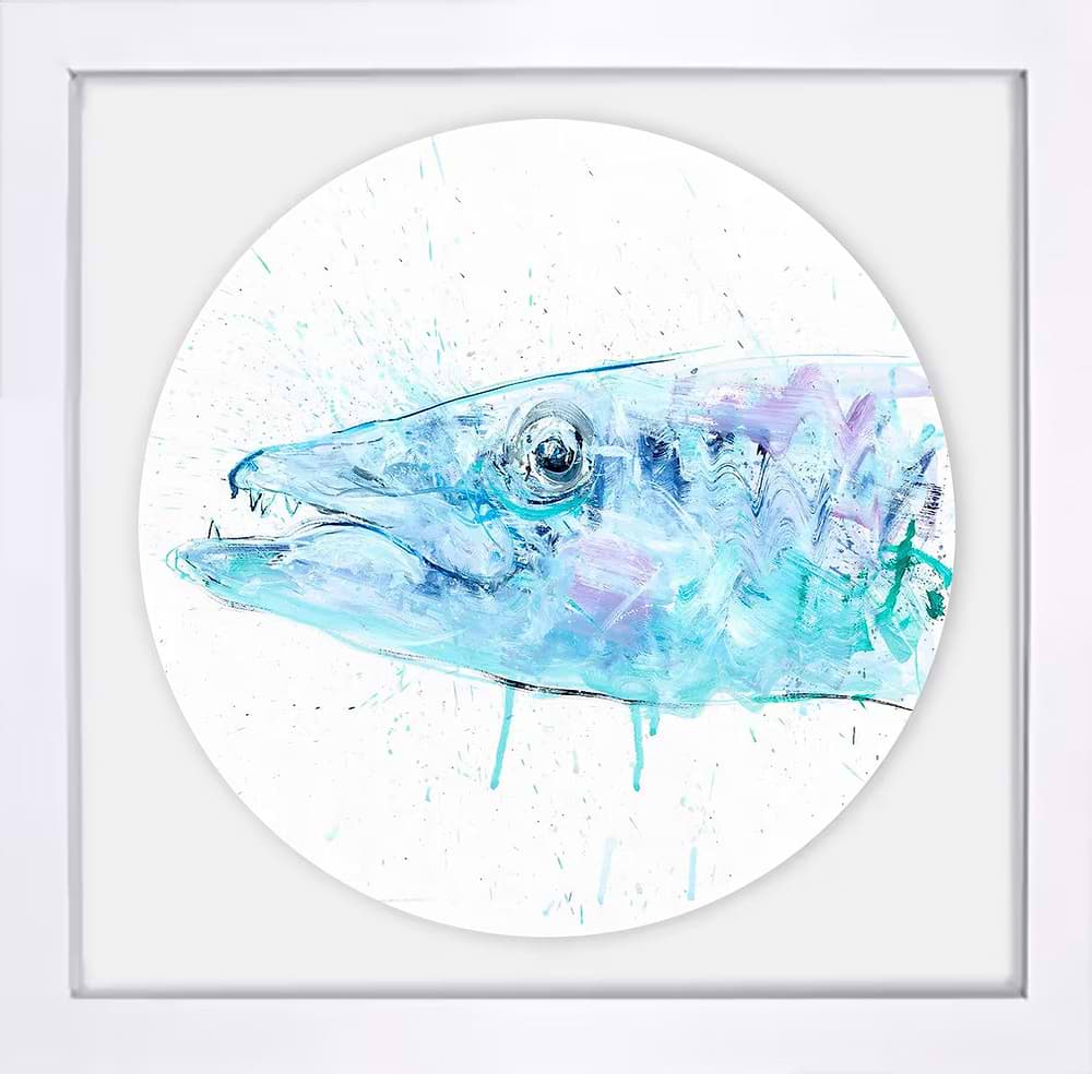 Barracuda
