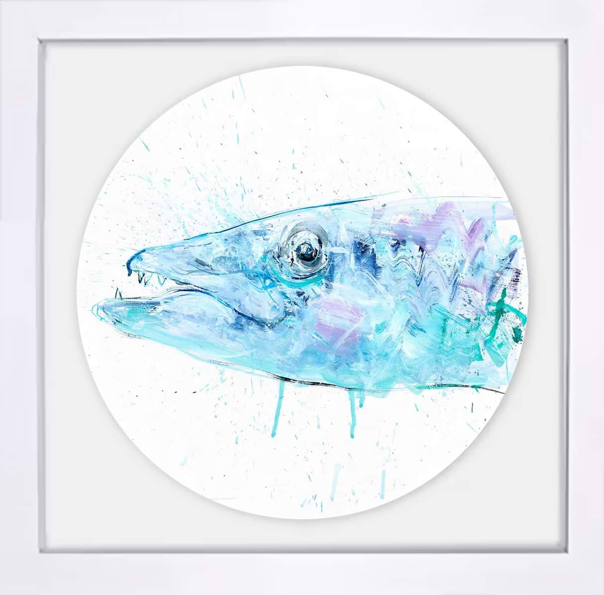 Barracuda