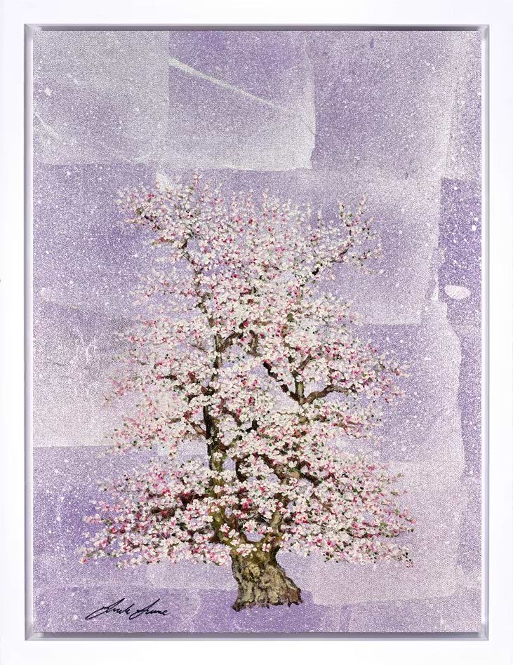 Flora