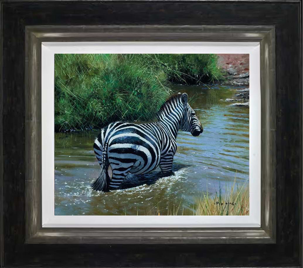 Zebra In Water