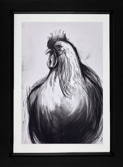 Cockerel