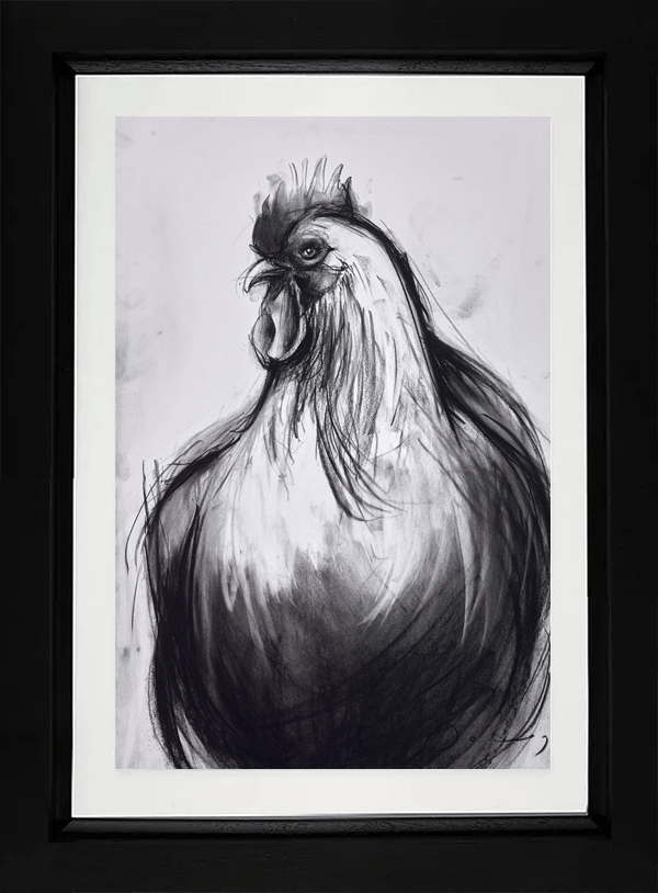 Cockerel