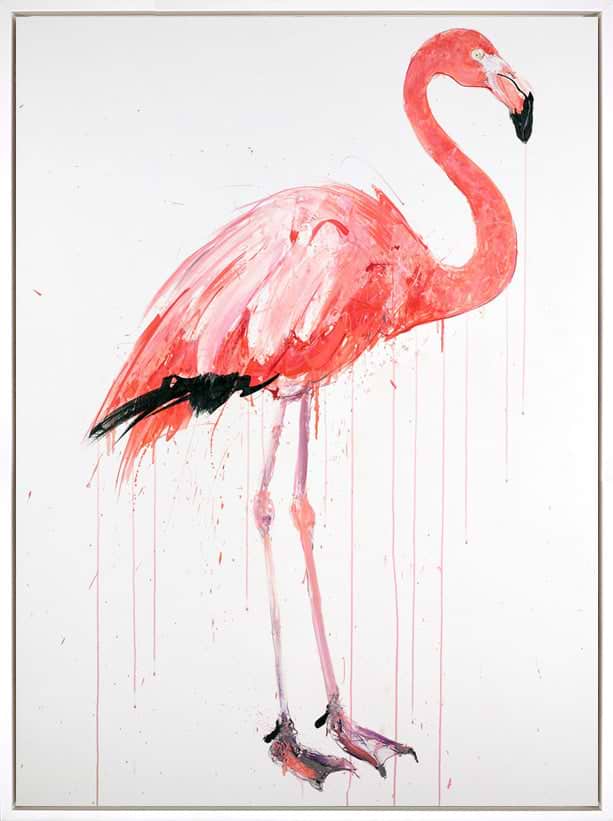 Flamingo II