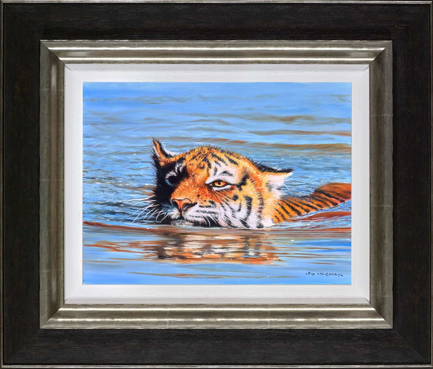 Tiger Cub Swimming