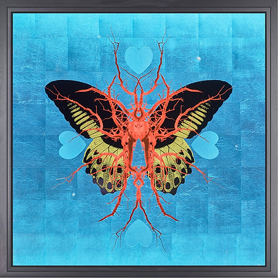 Leaf Butterfly - Sapphire