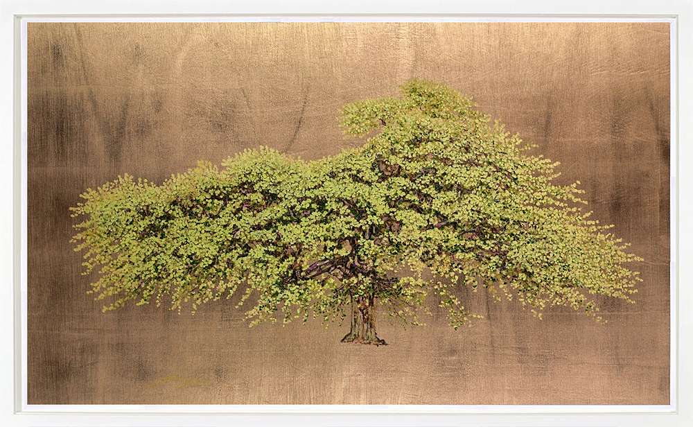Wych Elm