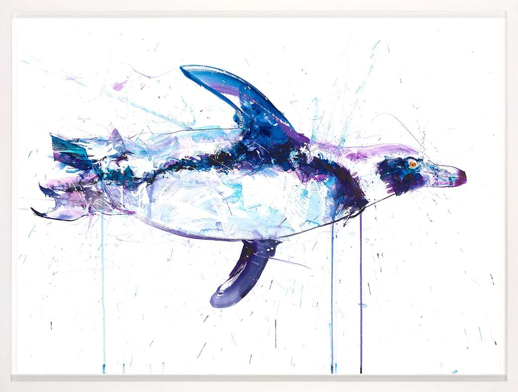 Swimming Penguin I