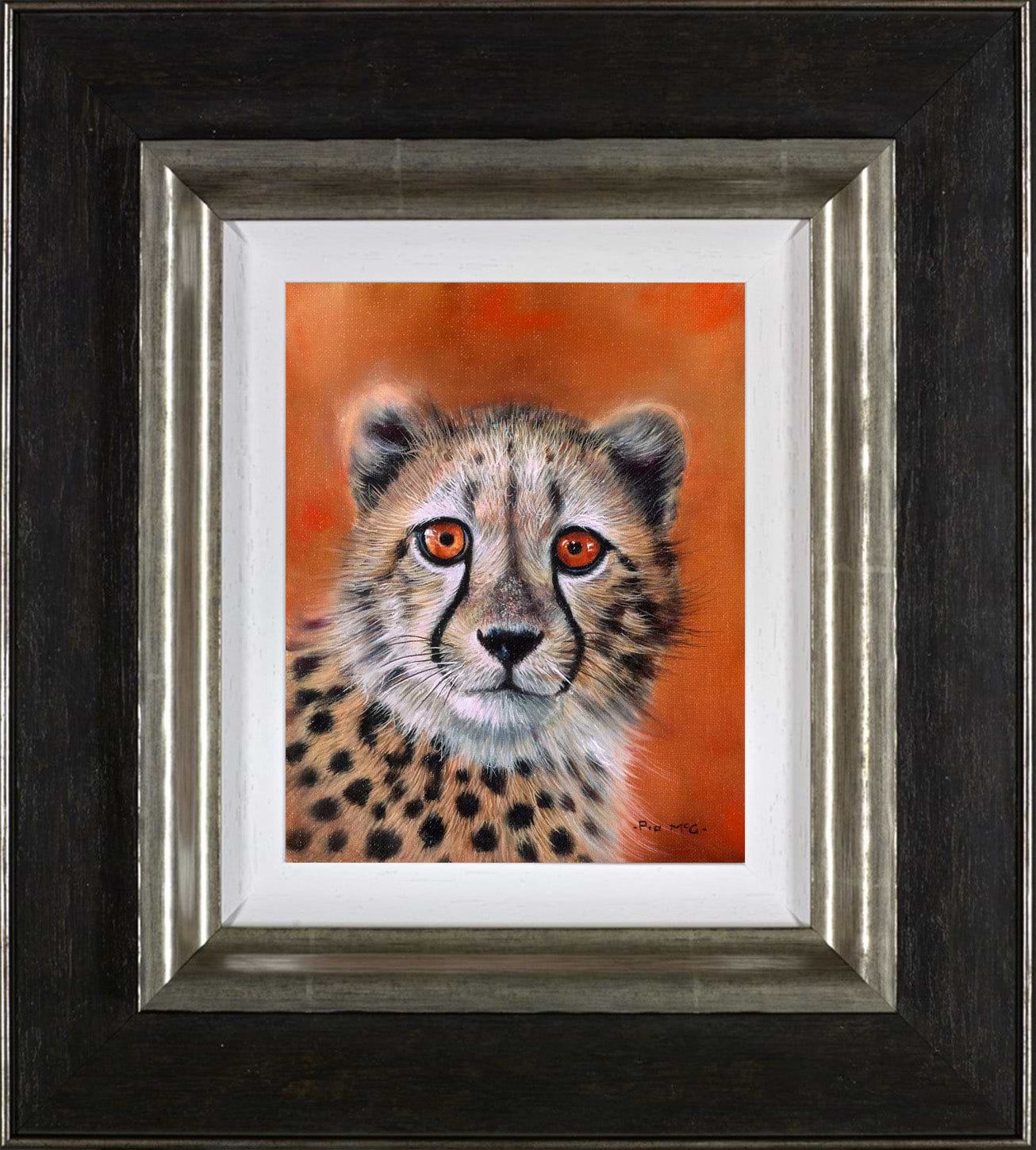 Cheetah Cub