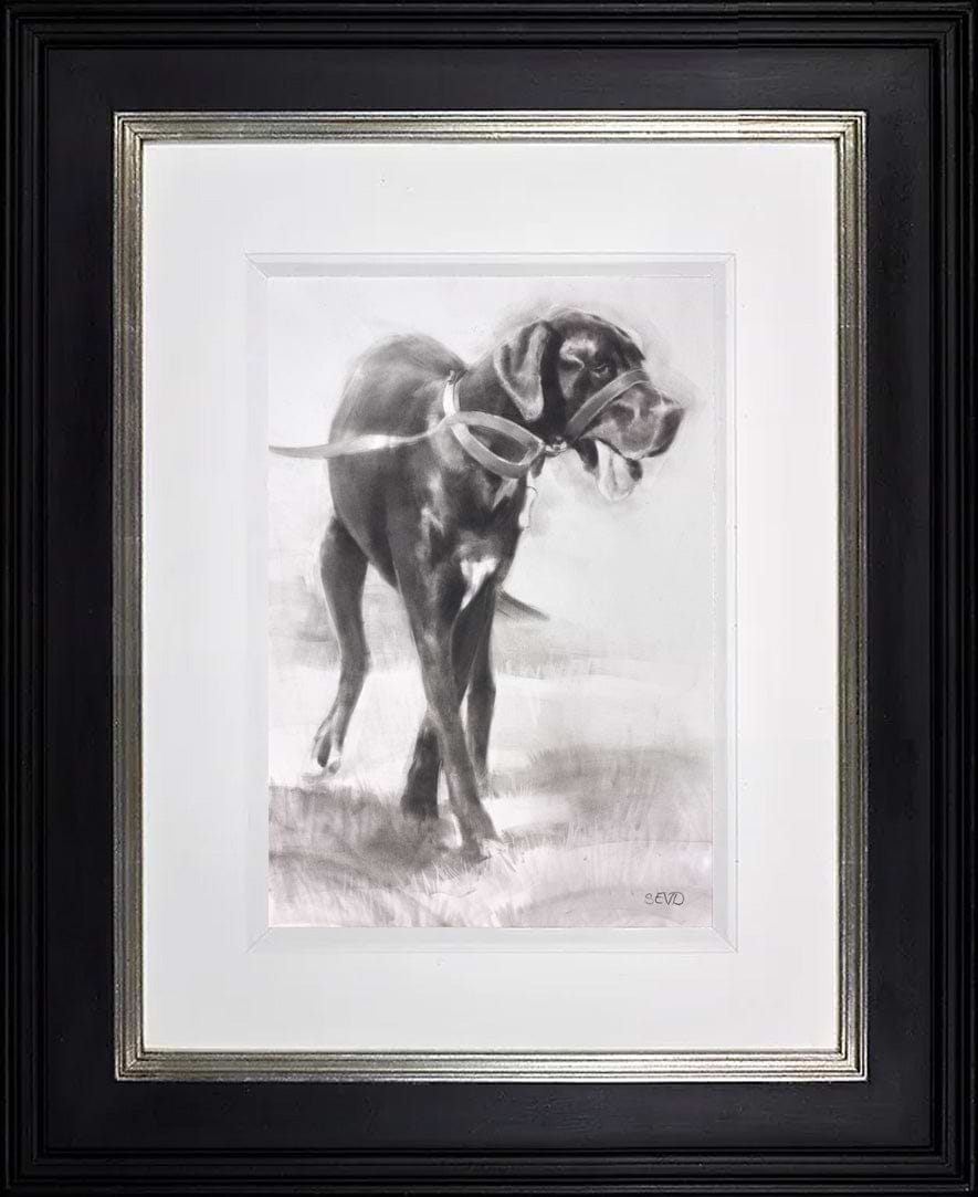 Handsome Boy (Great Dane)