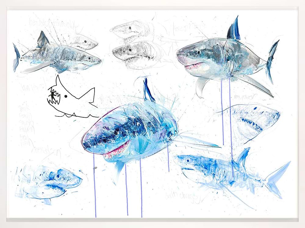 Great White Study Sheet