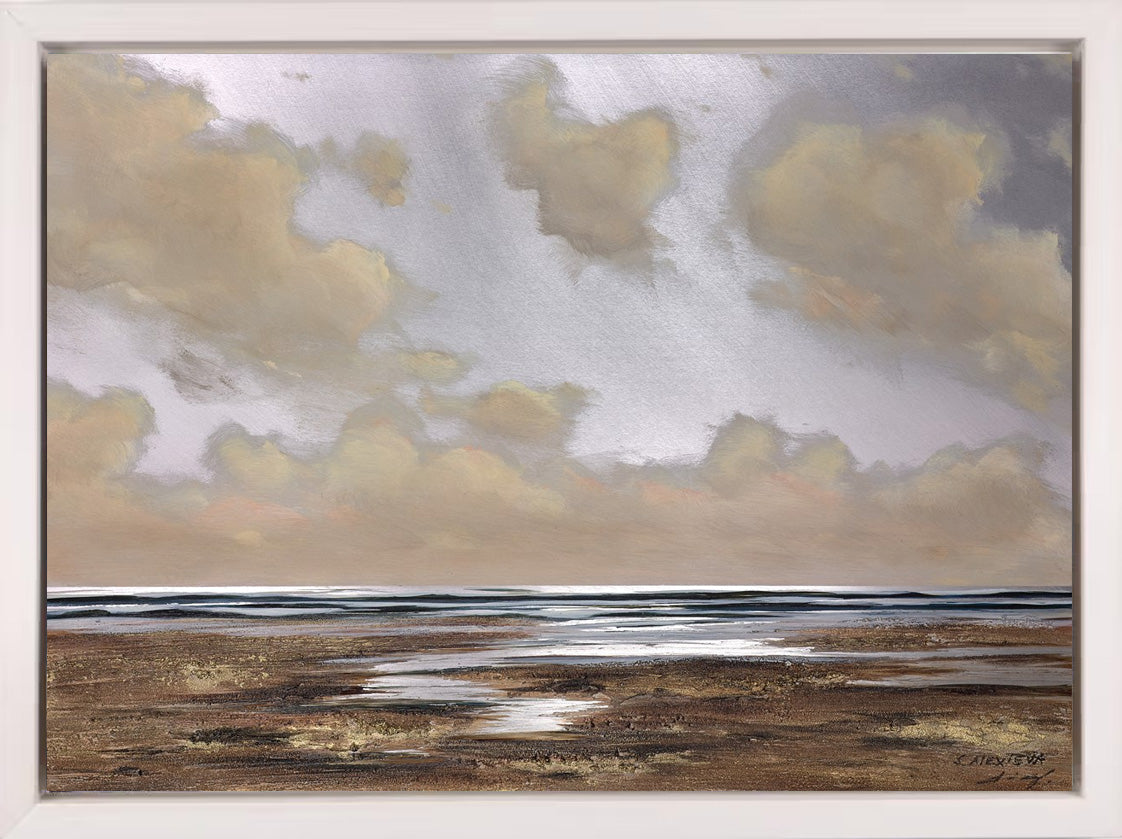 Luminous Coast