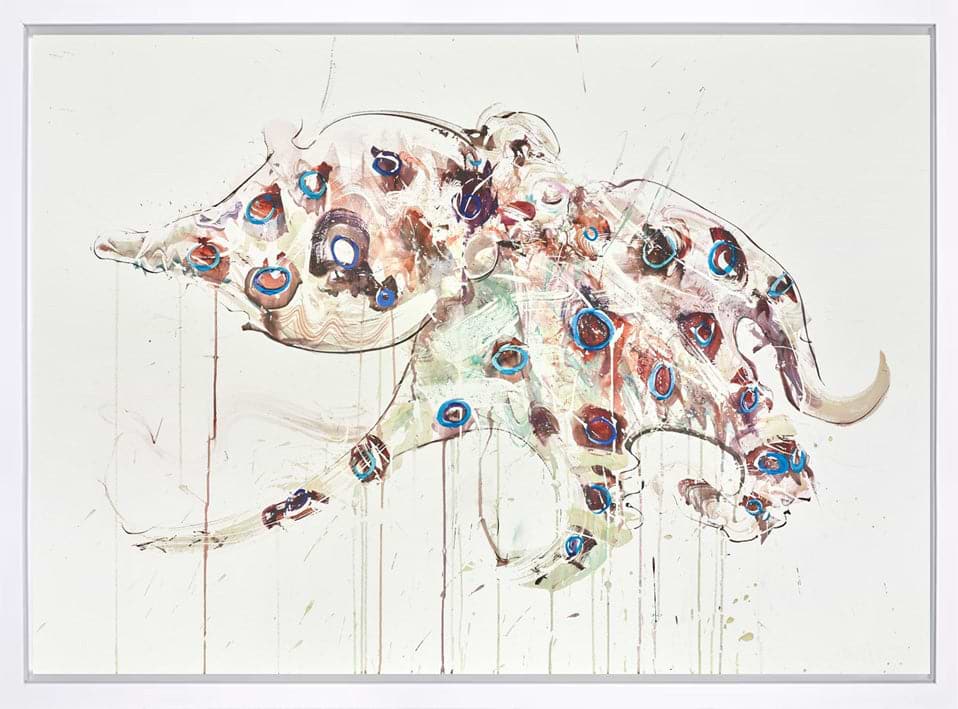 Blue Ringed Octopus II