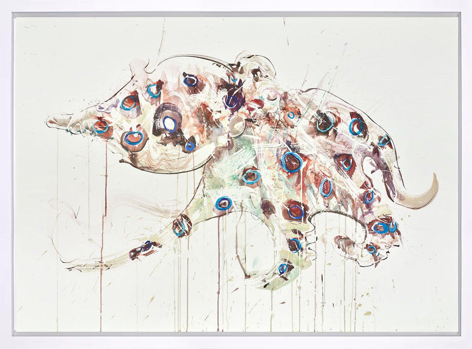 Blue Ringed Octopus II