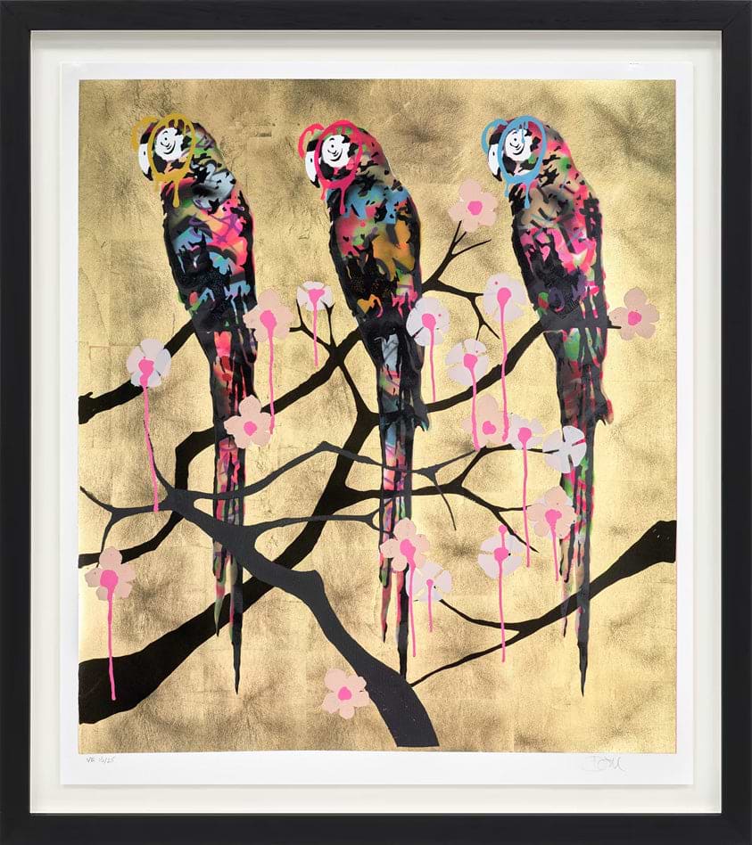 Polly Folly 16/25
