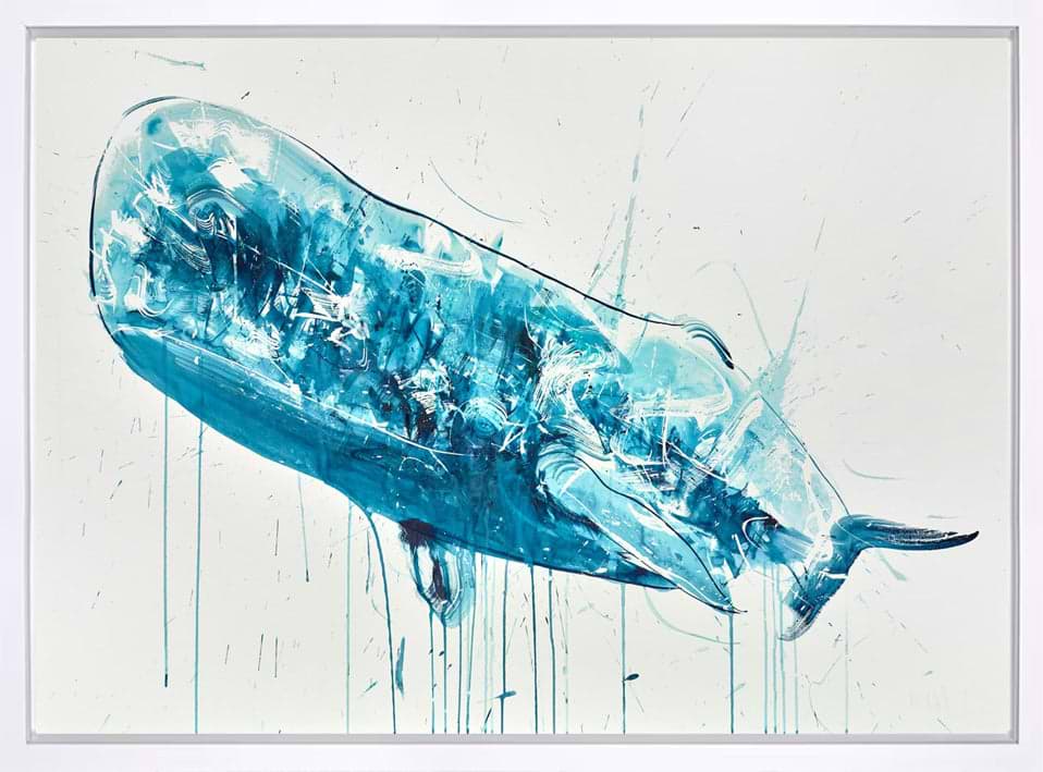 Sperm Whale