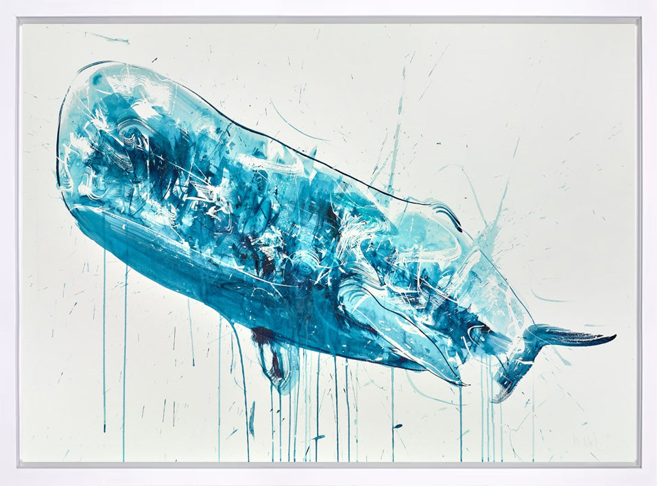 Sperm Whale