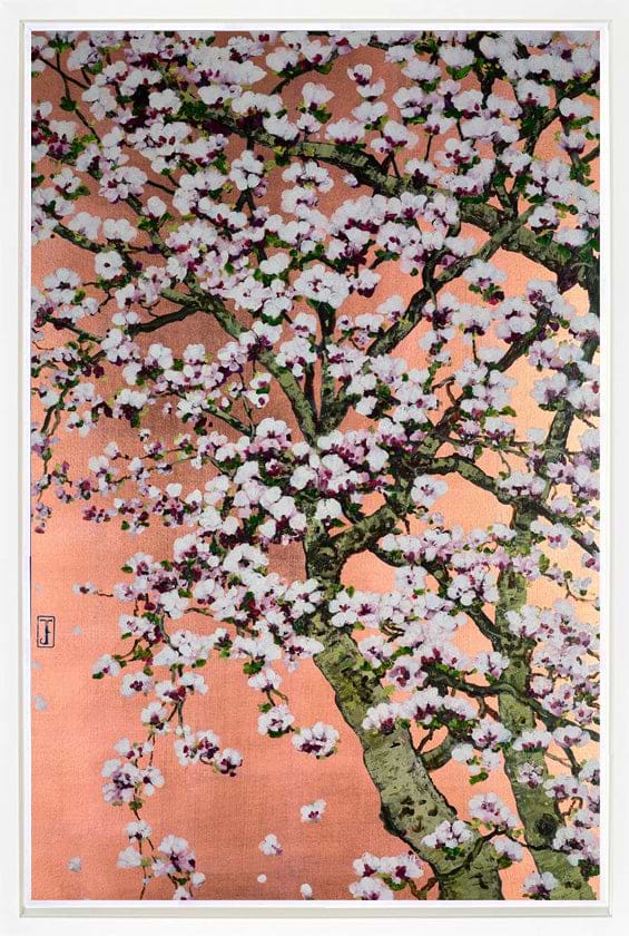 Flowering Oshima Cherry Blossom