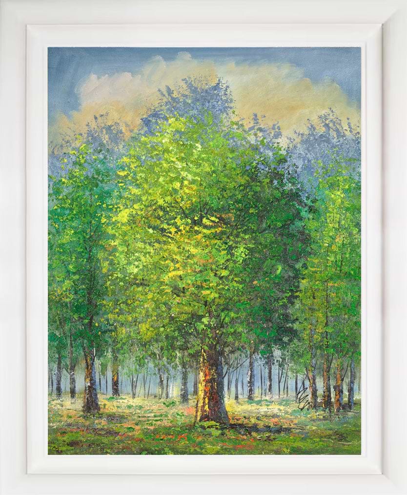 Summer Woodland