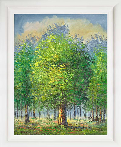 Summer Woodland