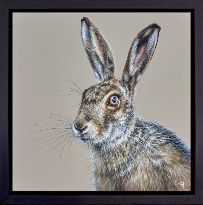Hare