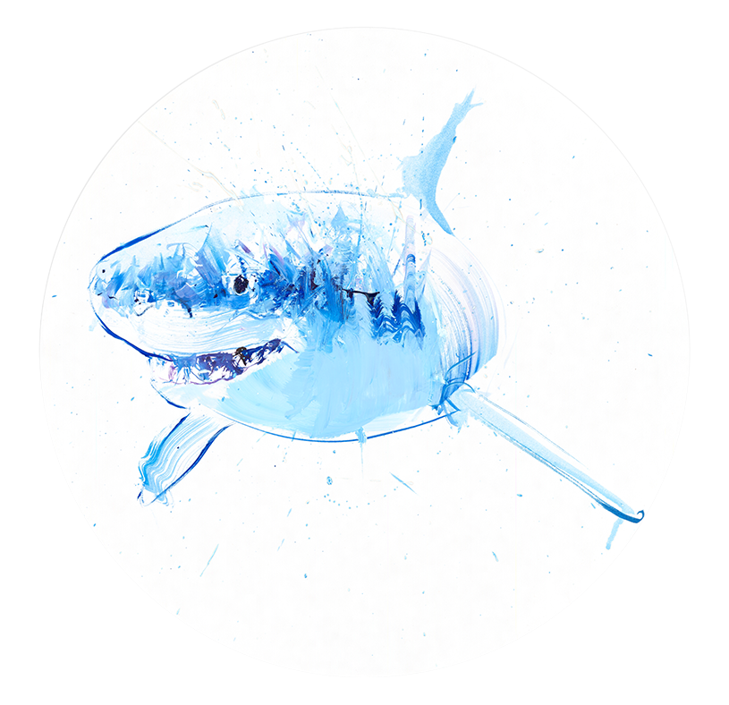 Great White Study III