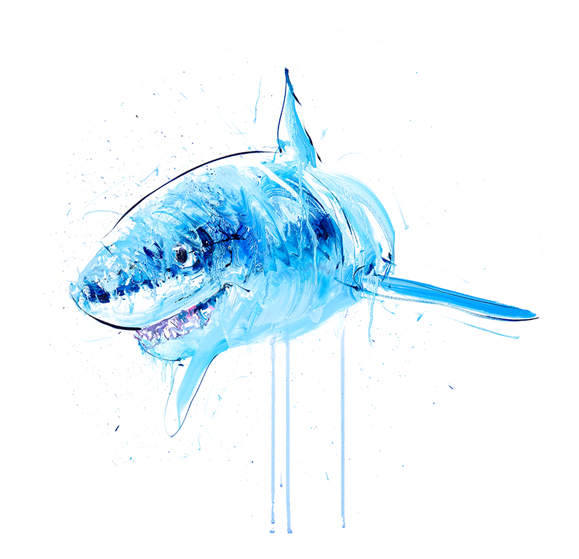 Great White Study V