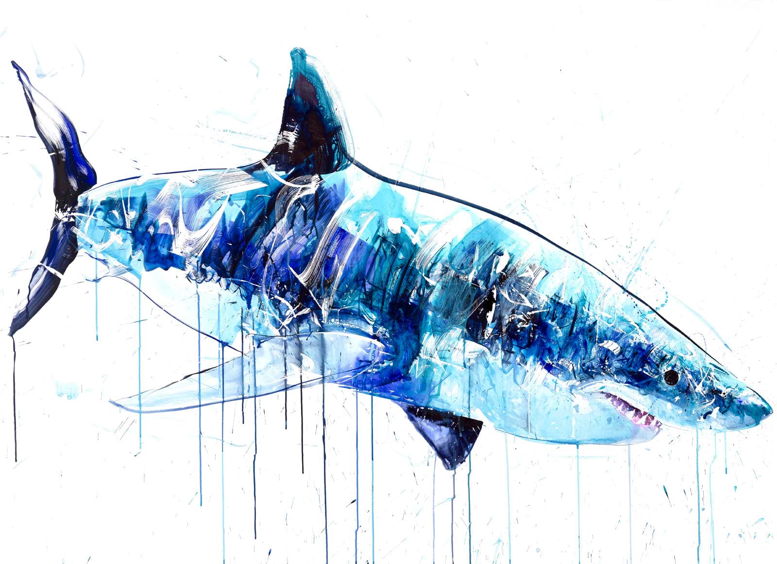 Great White III
