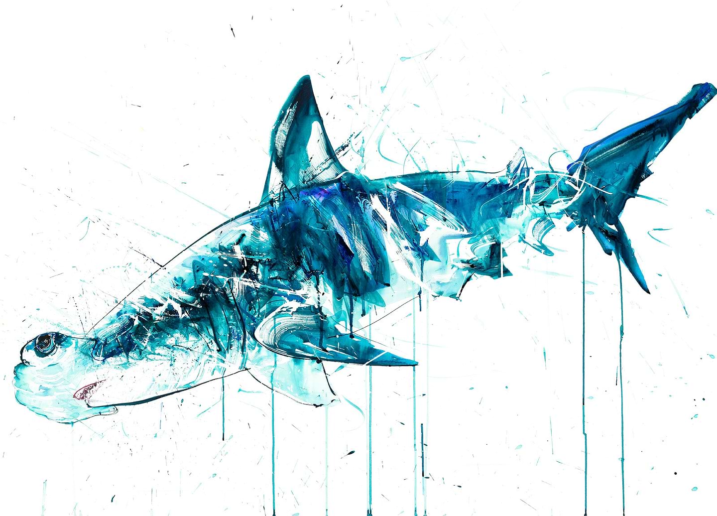 Hammerhead