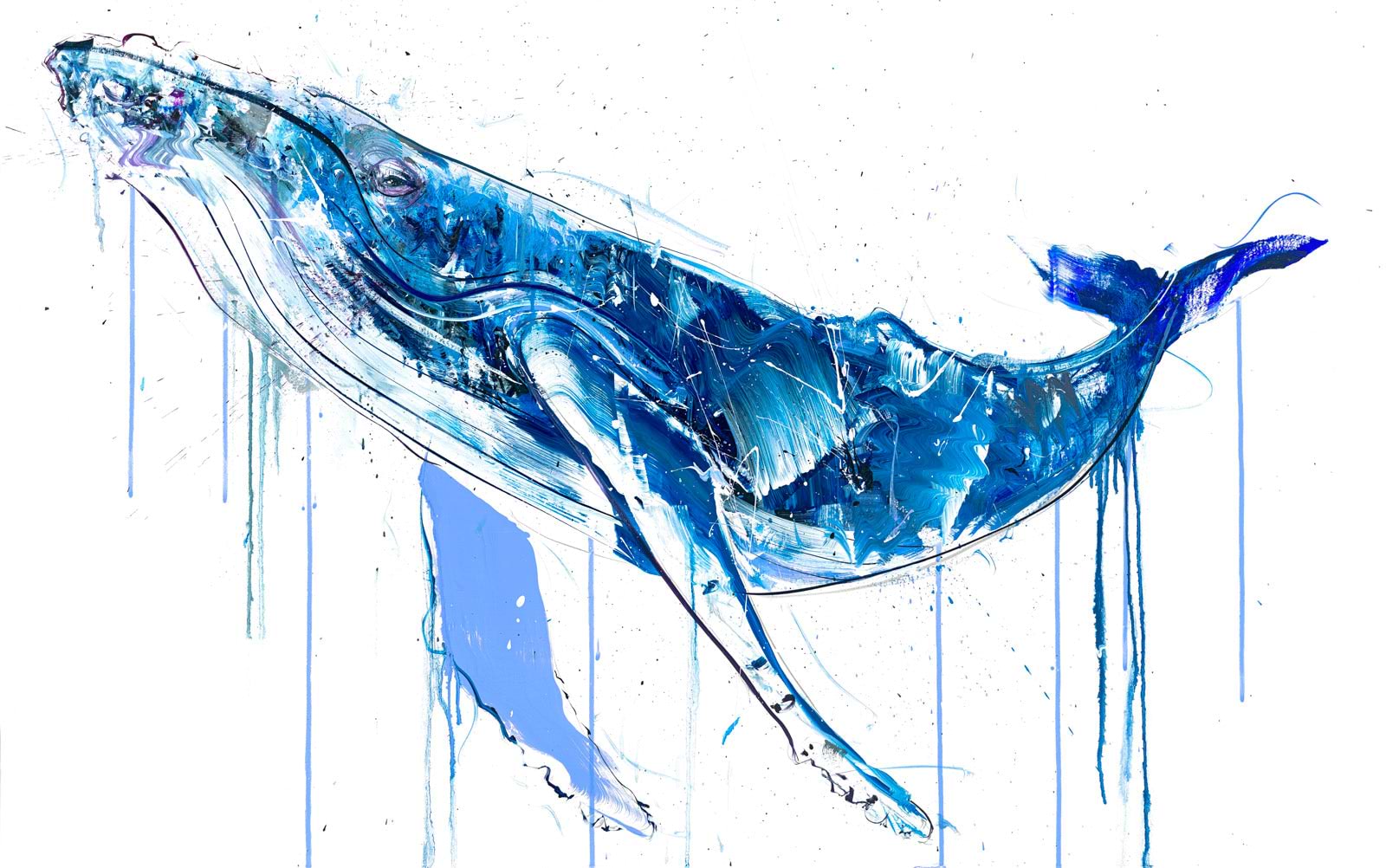 Humpback Whale III