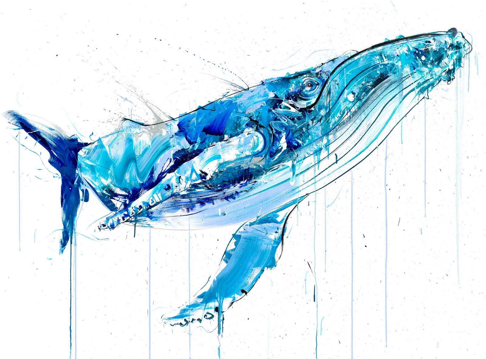 Humpback Whale V