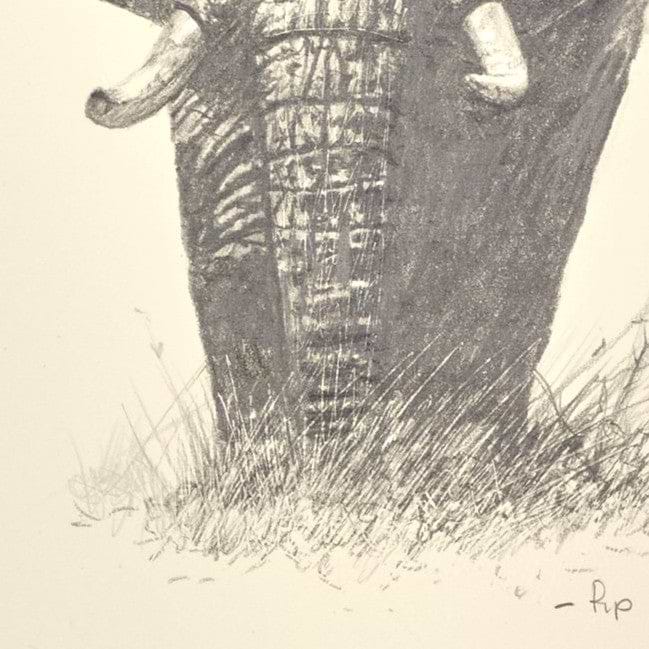 Lone Elephant