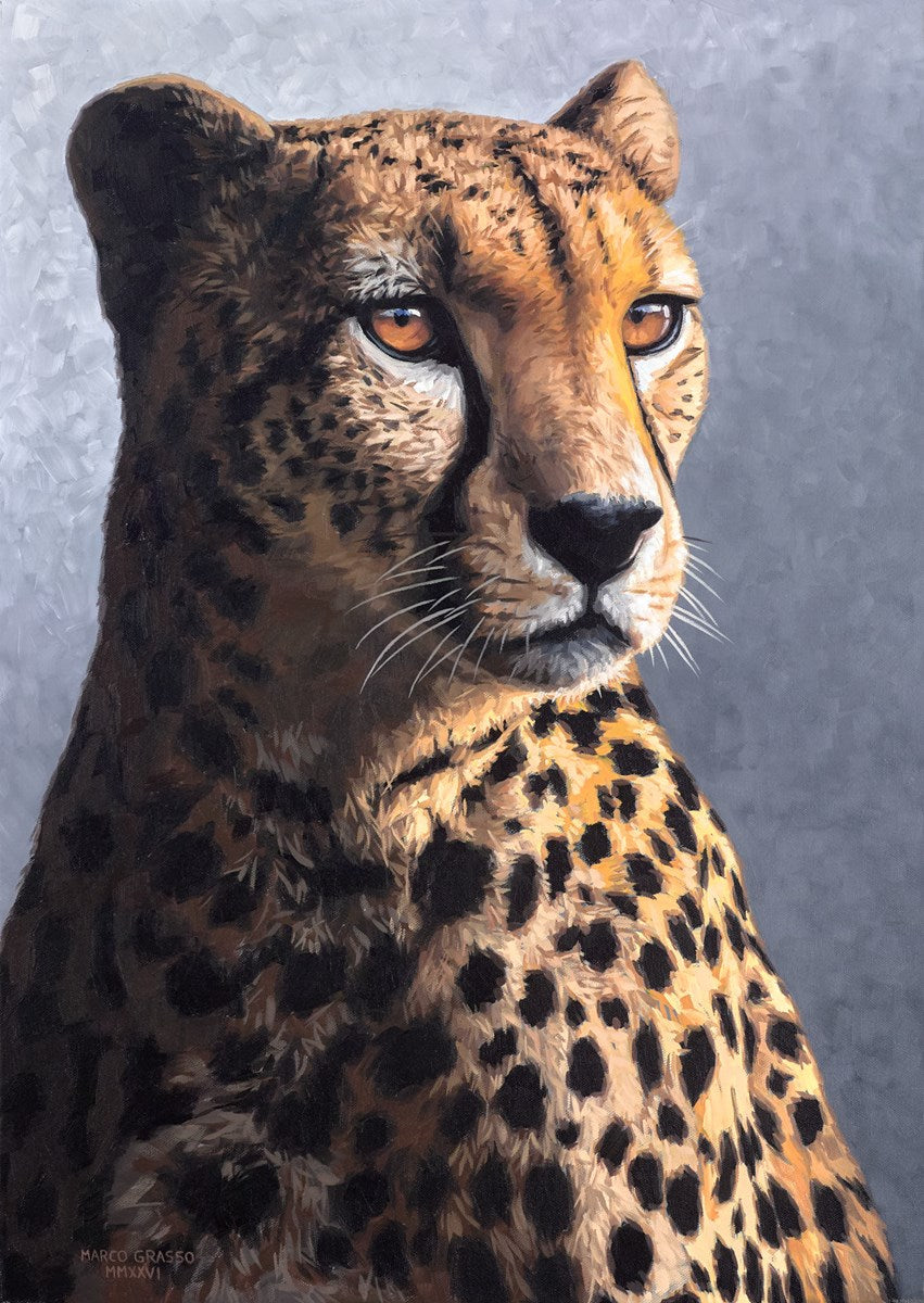Total Focus II