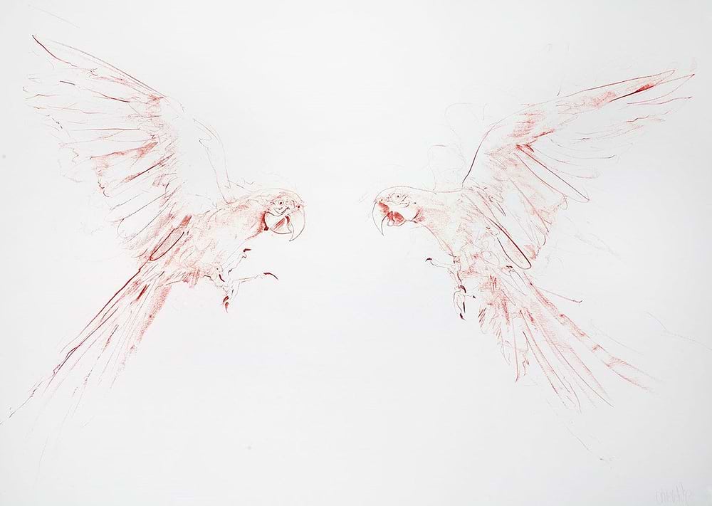 Flight Study III