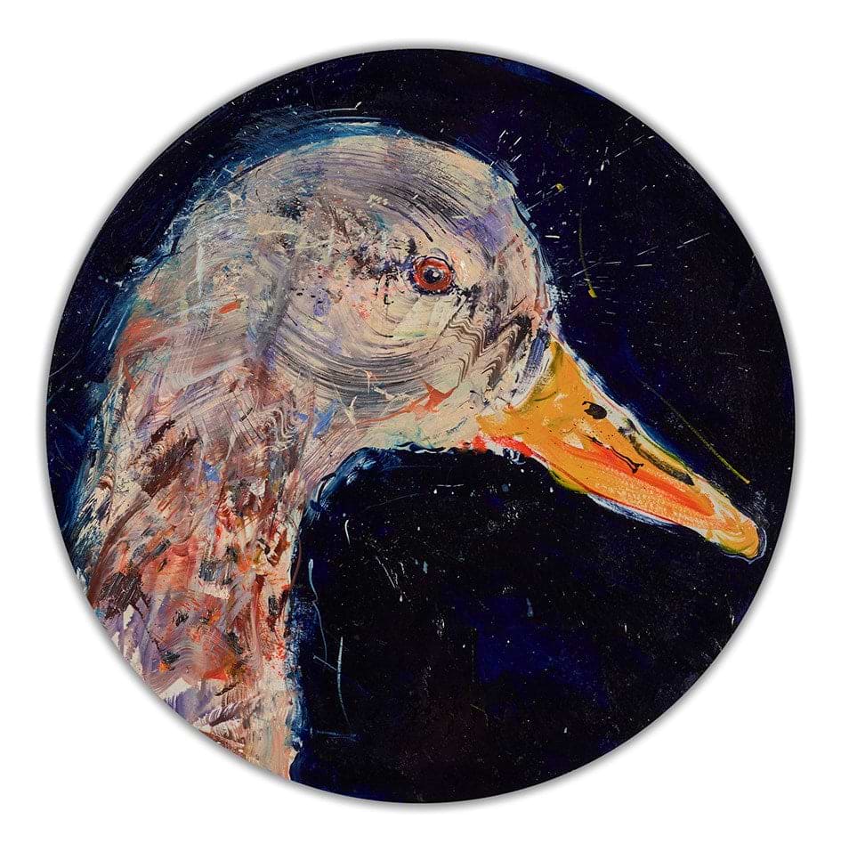 Duck Study III