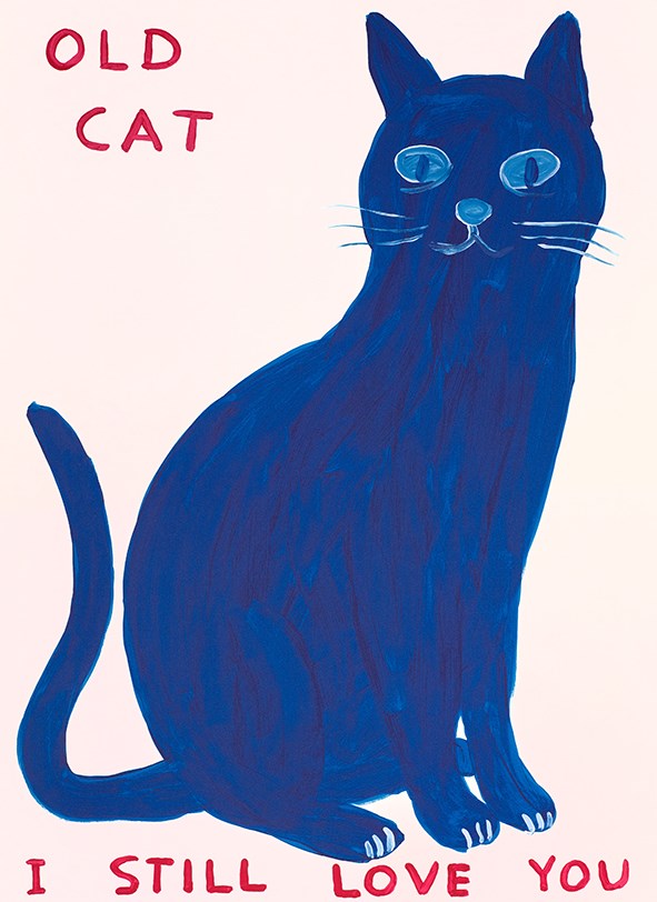 Old Cat