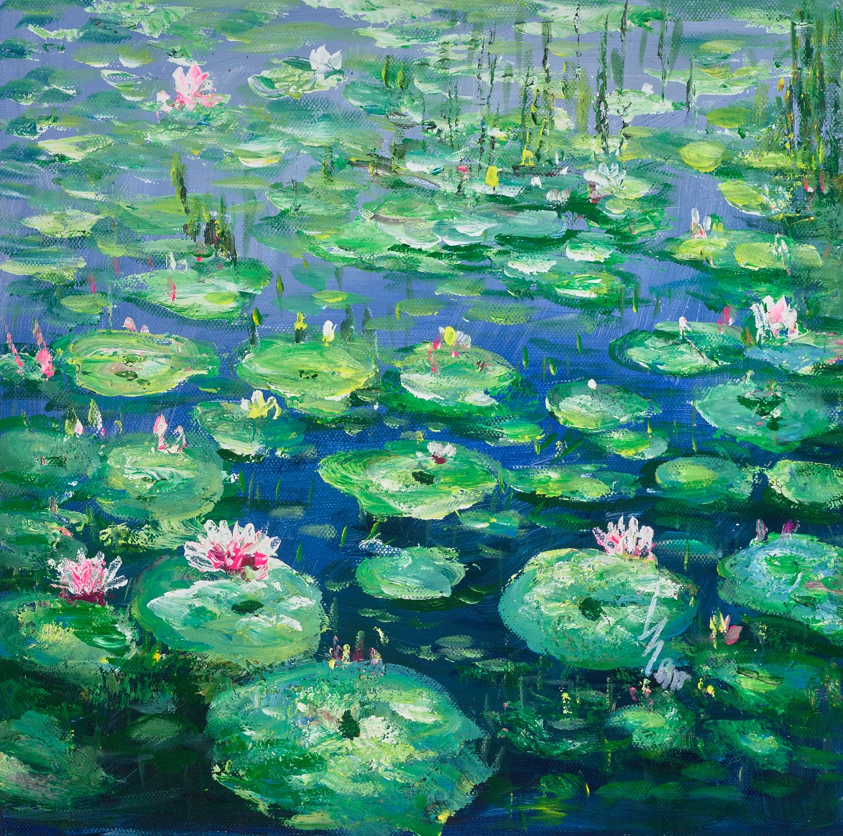 Lillie Pond IV
