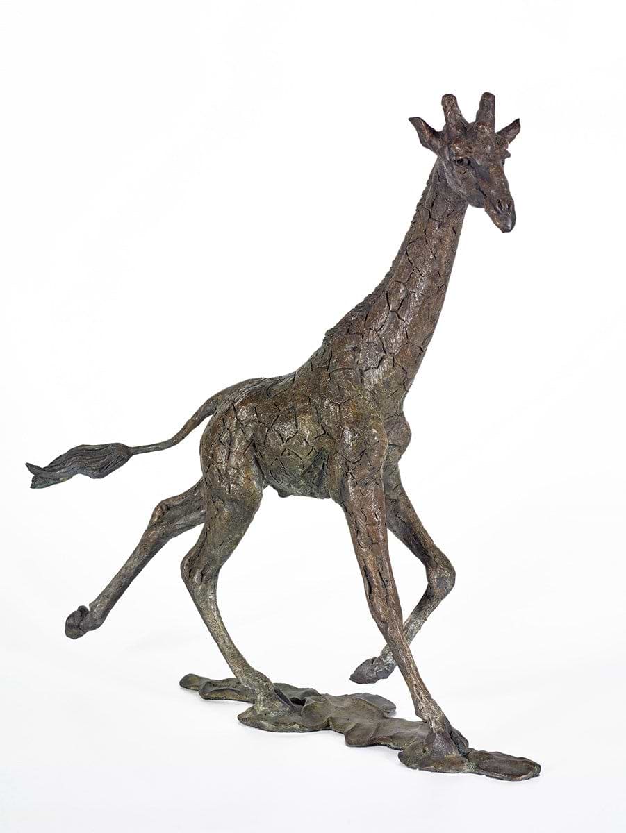 Giraffe Male - 2017