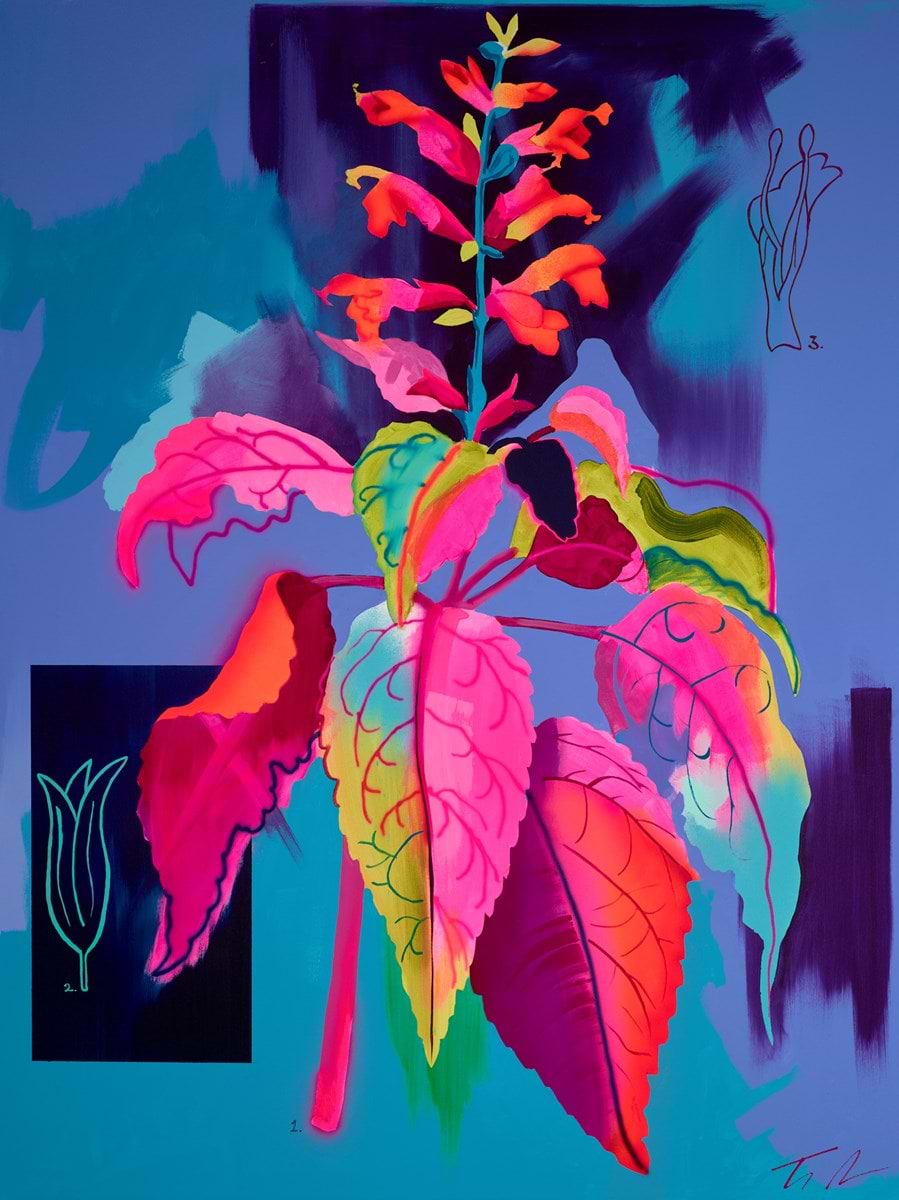 Rainbow Sage
