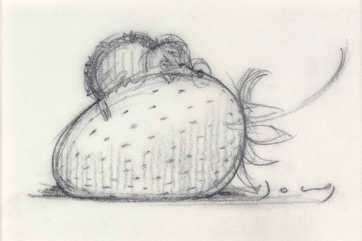 Strawberry and Dreams VI (Sketch)