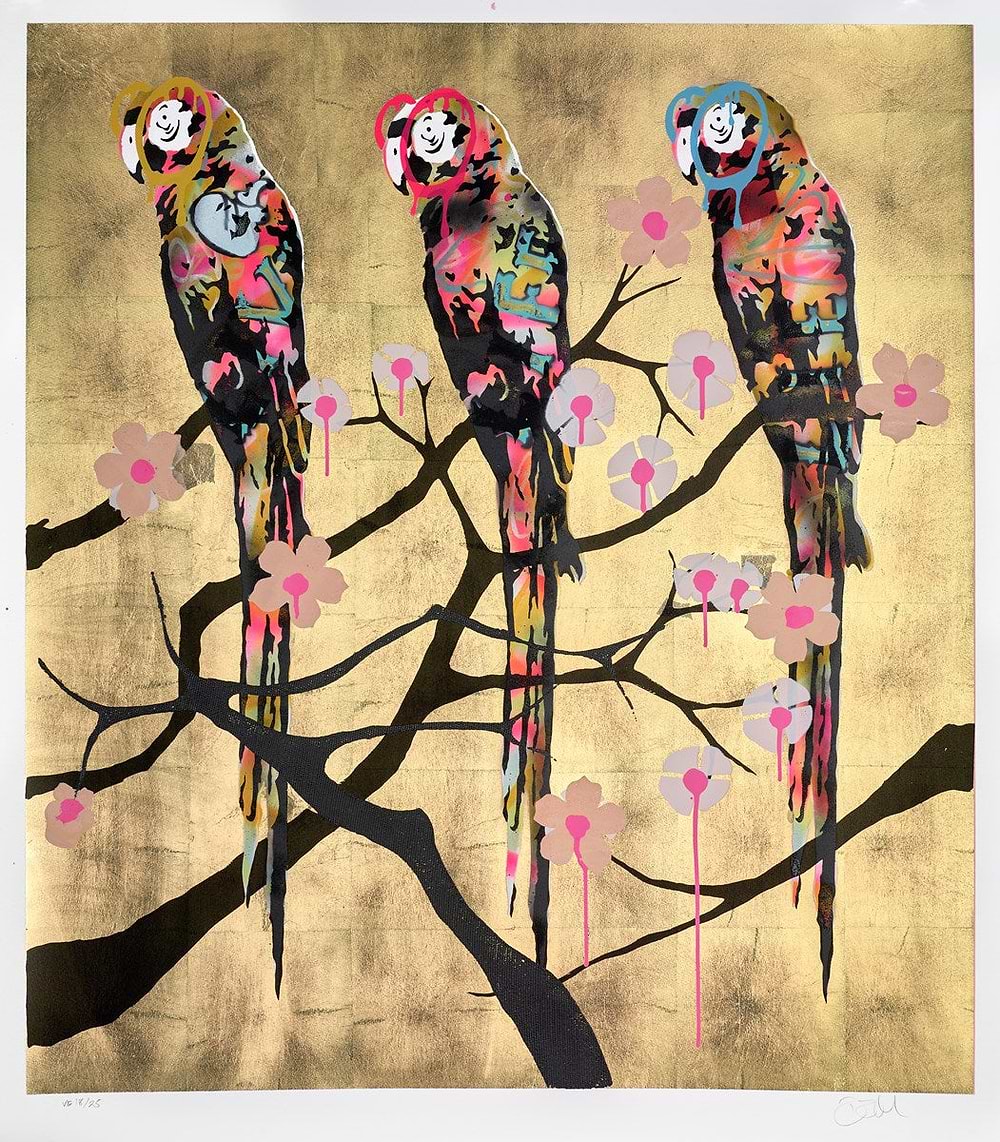 Polly Folly 18/25