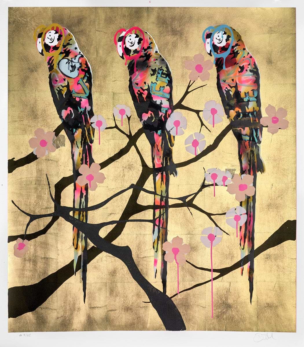 Polly Folly 18/25