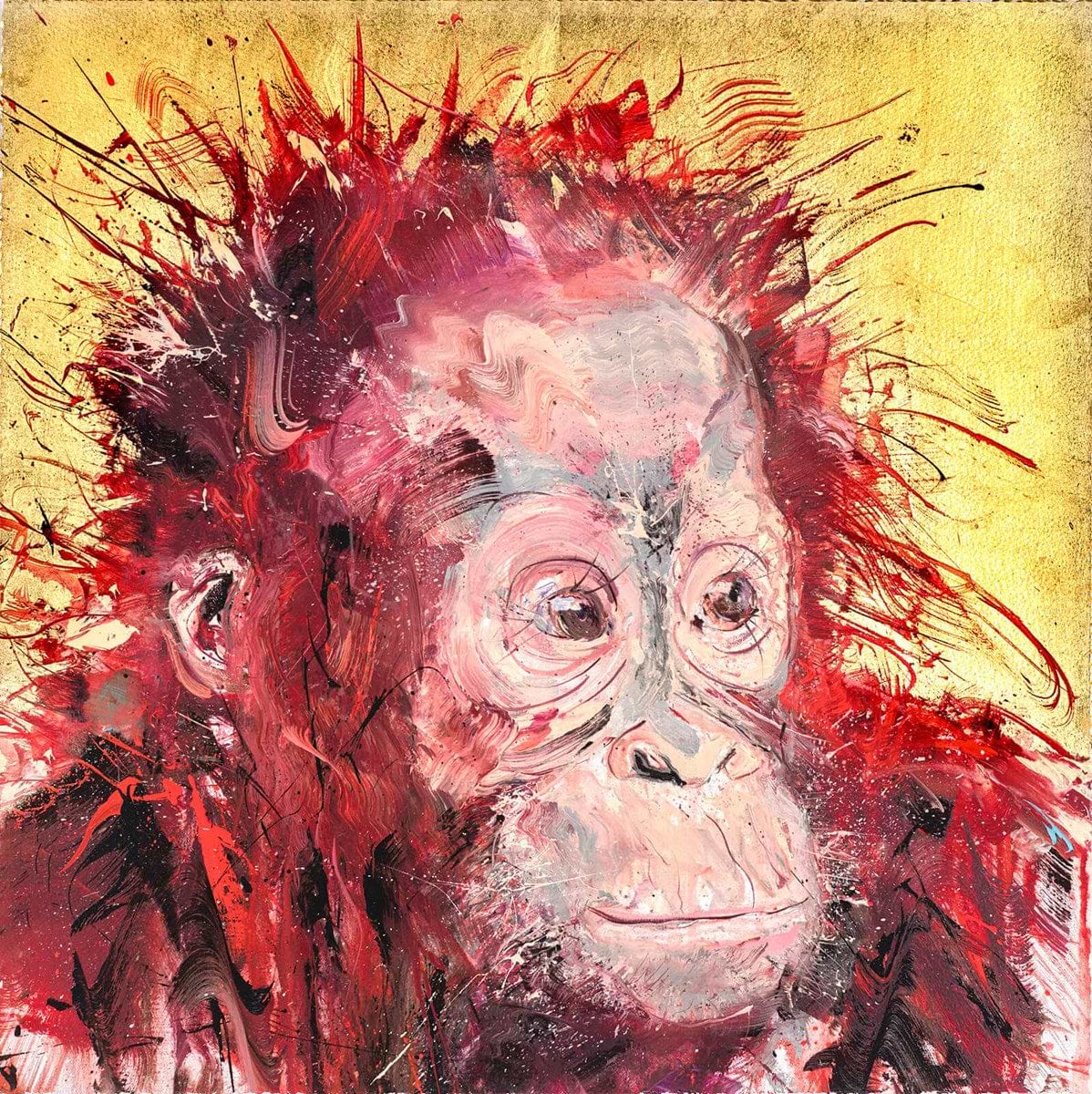 Baby Orangutan
